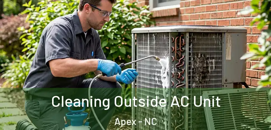 Cleaning Outside AC Unit Apex - NC